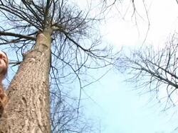 HD: Surrounded By Trees Stock Footage