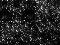 TwinkleStatic Stock Footage