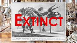 Evolution vs Natural Selection Instructional Video