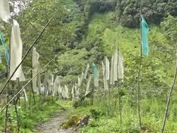 Prayer flags in the jungle of Khakaborazi National Park Stock Footage