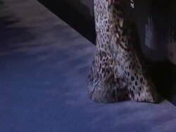 Christina Ricci at The Ninth Annual UNICEF Snowflake Ball at Cipriani, Wall Street Stock Footage