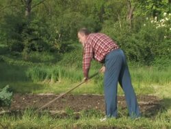 NTSC: Sowing Stock Footage