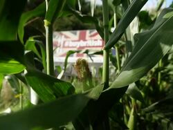 Views Of British Farming Stock Footage