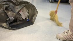 Sweeping Stock Footage