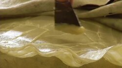 Skilled taxidermist preserves animal trophies News Clip