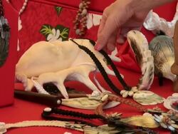 Woman looking shells craft products on a stall market Stock Footage