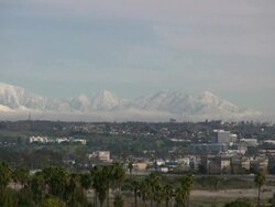 Tropical Winter: Palm Trees and Snow Covered Mountains Stock Footage