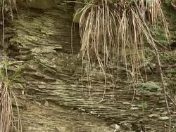 HD: Nature Stock Footage