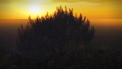 The sun silhouettes a tree on a prairie. Stock Footage