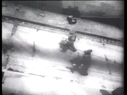 Tunnel, Horse Racing News Clip