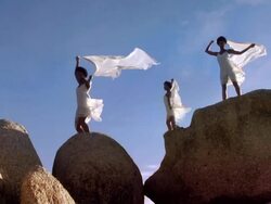 African Queens Cape Town Stock Footage