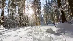 POV walking through forest covered in snow in winter with sun shining through trees Stock Footage