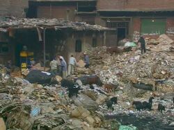 WS Shot of garbage habitation area / Tokyo, Japan Stock Footage