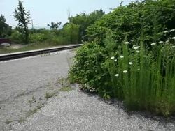 MS POV Vacant warehouse buildings in small town / Rutland, Vermont, United States    Stock Footage