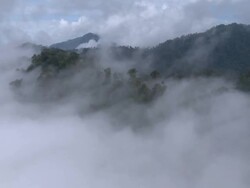 Cloud over jungle, Maliau Basin, Sabah, Malaysia, Borneo Stock Footage