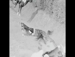 SYND 12/10/71 UNDER HALF THE COMPETITORS COMPLETE THE FIRST GRUELING STEEPLECHASE IN PARDUBICE News Clip