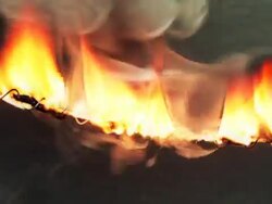 Cable Overload (NTSC, 3in1) Stock Footage