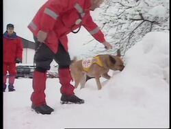 AUSTRIA: KILLER AVALANCHES: RESCUE OPERATION CONTINUES Instructional Video