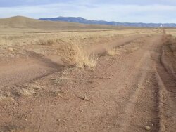 Tumbleweed Stock Footage