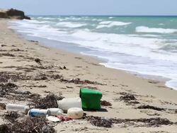 HD: Environmental Pollution Stock Footage