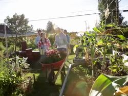Group carrying plants and garden equipment through community garden Stock Footage