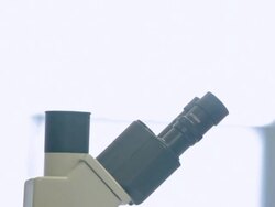 ECU PAN Female laboratory technician looking into microscope in Cancer research Healthcare medicine Industry DNA sequencing Laboratory / Vancouver, BC, Canada Stock Footage