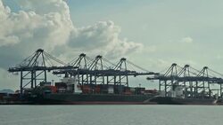 Container Cargo freight ship Stock Footage