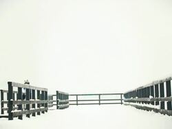 Father and son on dock in winter Stock Footage