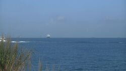 Cruise ship anchors in Cambodia after virus fears Instructional Video