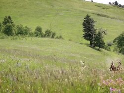 Western Country side Stock Footage