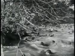 Soldiers on training field Instructional Video