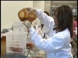 The government's food safety chief says tomatoes may not be the cause of the recent salmonella outbreak that has made hundreds of people sick across the country. News Clip