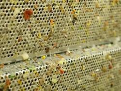 Waste Water Treatment Plant Screening Conveyor Stock Footage