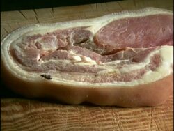 Bacon Beetles (Dermestes lardarius) on piece of bacon, England Stock Footage