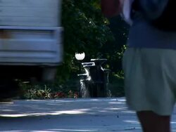 HD: In The Park Stock Footage