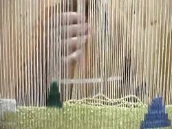 Hand Weaving Silk Carpets in Turkey Stock Footage