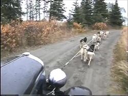 An epic journey from Argentina to Alaska in an antique car News Clip