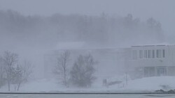 Blizzard, Snow Storm, Blowing Snow, Whiteout - Plymouth, Massachusetts Stock Footage
