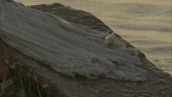 Wet clothing thrashes against a slab of rock near water. Stock Footage