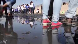 CLEAN : Mexicans hug at the border a week before US vote News Clip