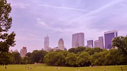 Central park, new york Stock Footage