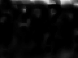 QUESTION MARK : mosaic, white back - (LOOP) Stock Footage