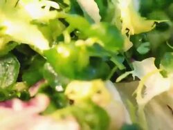 preparing salad Stock Footage