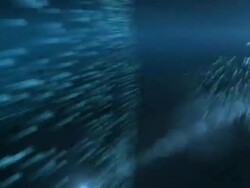 Words animation Stock Footage