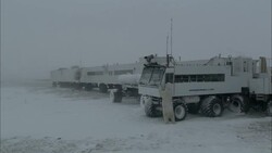 A polar bear inspects a large vehicle. Stock Footage