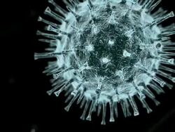 Swine flu virus particles (virions). The 2009 pandemic swine flu is caused by an H1N1 subtype of the influenza virus Stock Footage