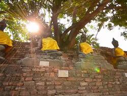 Old Buddha Statues at Historical Park of Ayutthaya, Thailand Stock Footage