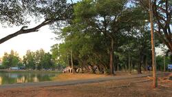 People exercise at park at sunset Stock Footage