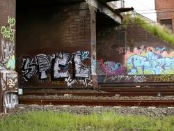 Suburban Life Around Sydney Stock Footage