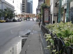 Street traffic in Chicago, median with plants Stock Footage